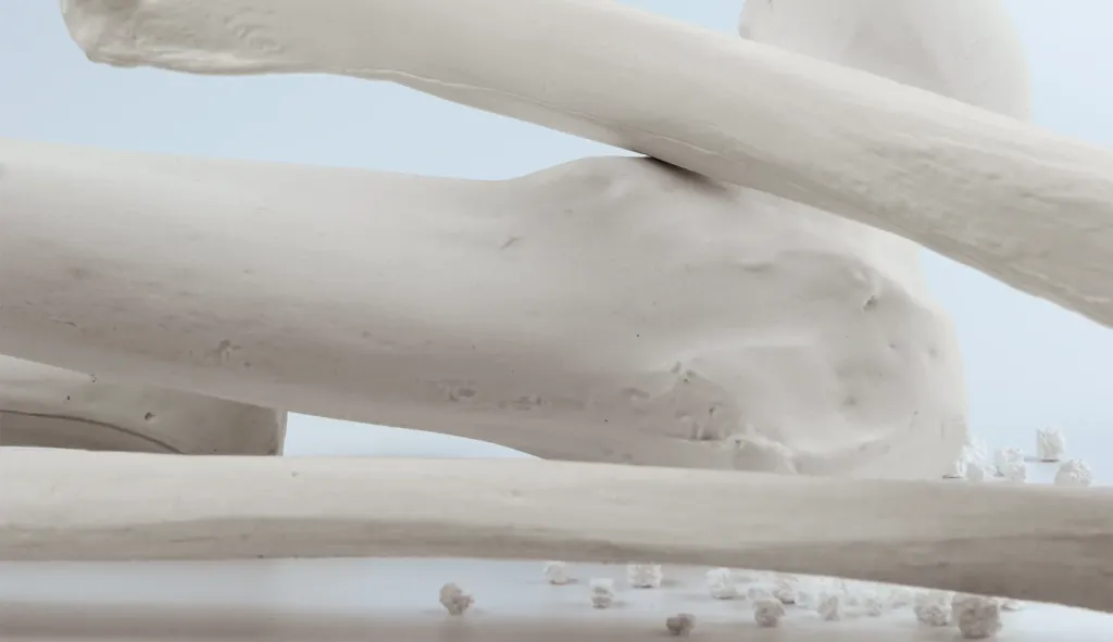 Close-up of a bone model surface