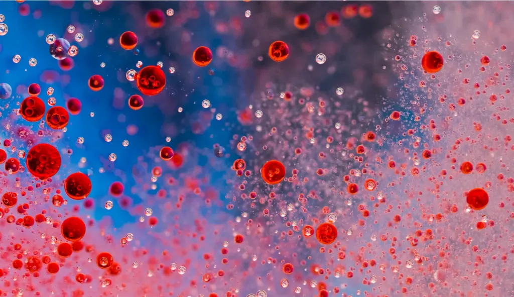 Red and blue cell particles under magnification
